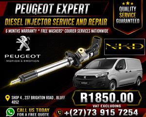 Recon_Injectors_For_Peugeot_Expert