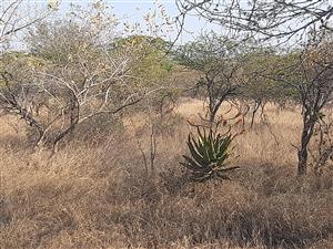LAUNCHING MAGNIFICENT Shawu's Hills : Serenity found!