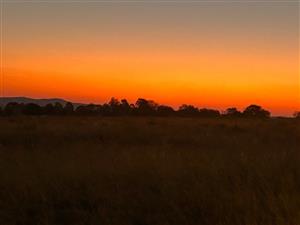 Vacant stand nestled amidst nature