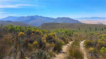 Experience Untouched Mountain Living Between Stanford & Caledon