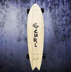 Longboard Skateboards 