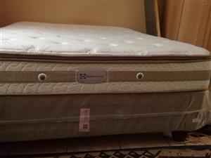 QUEEN SEALY BED FOR SALE