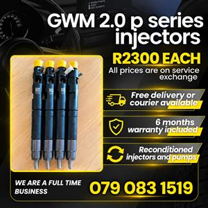 GWM 2.0 P SERIES INJECTORS FOR SALE 