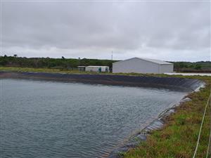 PRIME 23-HECTARE FARMLAND WITH EXCEPTIONAL EXTRAS - IDEAL FOR AGRICULTURE & LIFESTYLE LIVING