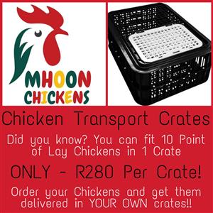 Chicken Transport Crates 