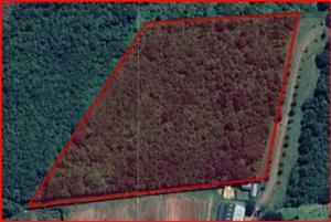 Vacant Land for sale in Kwambonambi Rural, Kwambonambi, KwaZulu Natal, 4162 m²