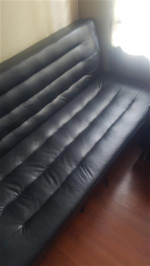 Sleeper Couch for Sale