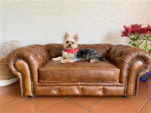 D3 Exclusive Luxury Pet Sofa's
