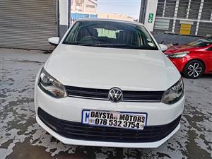 Polo vivo
