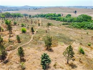 Development Land with Township Approvals in place for Sale