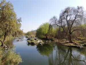 JEWEL OF PARADISE 17 HA RIVER FRONT