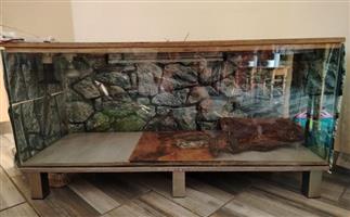 Reptile enclosure
