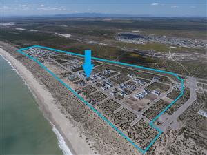 Beautiful stand nestled in the heart of the West Coast - Atlantic Sands North