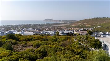 Vacant Stand in Whale Rock