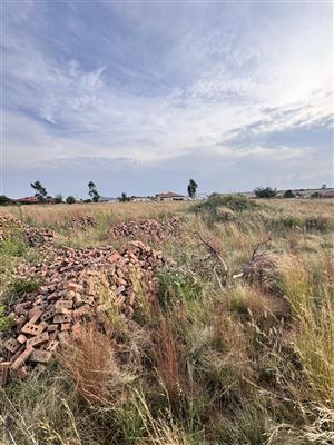 Spacious 1311m² Stand for Sale in Pine Ridge – Quiet & Peaceful Location