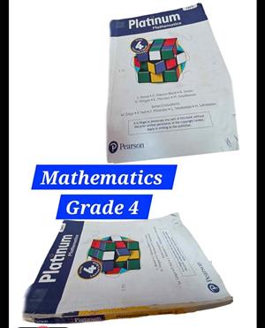 Platinum Mathematics Grade 4 Learner's Book, a widely used textbook in South African schools.