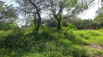 KOMATIPOORT - 3 310m² RESIDENTIAL STAND