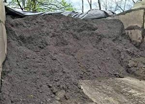 Compost Compost