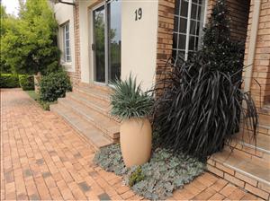 Modern Ground Floor Gem (3 Bed/2 Bath Townhouse