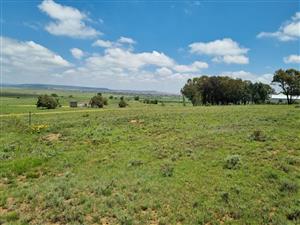 Vacant Land Residential For Sale in Marquard