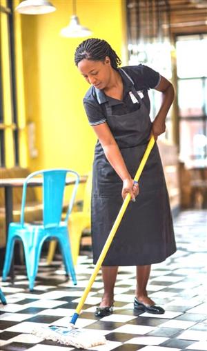 MALAWIAN DOMESTIC WORKER