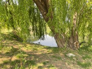 Unlock Endless Possibilities on 33,285m² of Prime Riverfront Land