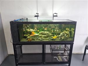 fish tank used for sale