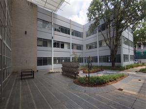Offices to let in Illovo