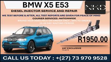 BMW X5 E53 Diesel Injectors 