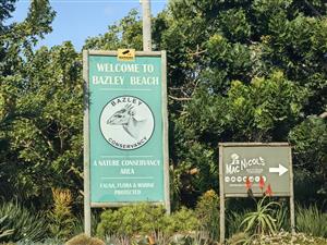 Build Your Dream Home in Bazley's Hidden Coastal Paradise