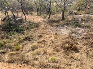 1200SQM STAND FOR SALE AT RIDGE HILL