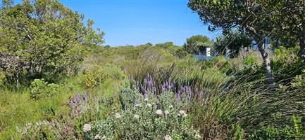 Prime 726m² Coastal Stand for Sale in Klipfonteyn 1