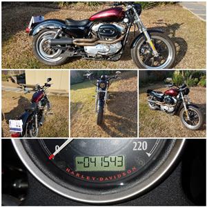 Harley Davidson 2015, 883 Custom.