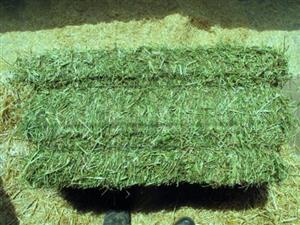  Top-quality Hay Bales 