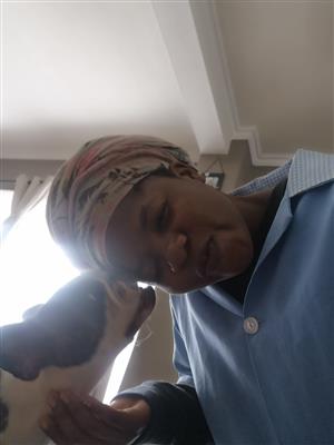 26 yr old South African lady needs stay in or stay out job as maid or nanny