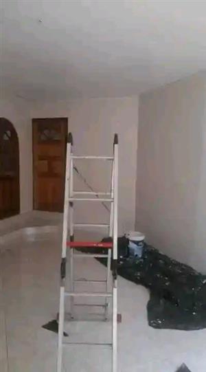 Painting and general Maintenance