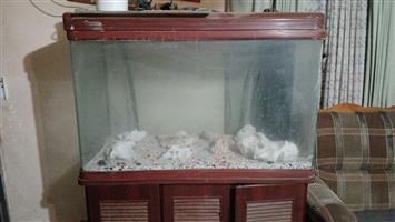 Fish aquarium tank