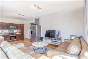 A Stylish and Spacious Home for Modern Living