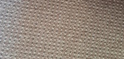 Good 10 metre by 4 metre -  light brown carpet for sale - Kempton Park