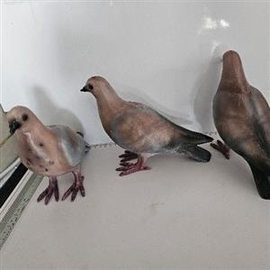 Pigeon Decoys