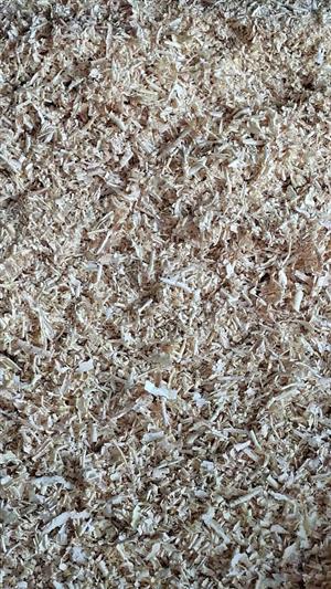 Pine Shavings