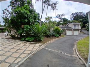 Investor's dream-Two Properties in one yard