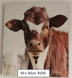 Printed canvas picture of a cow