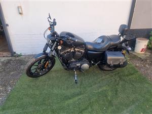 Harley Davidson 2016 Sportster 883 Iron 17000km