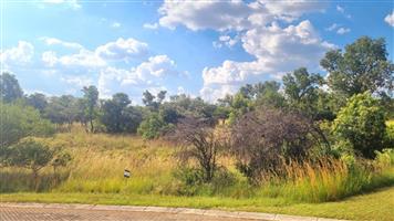 HUGE BUSHVELD STAND NOW ON THE MARKET!