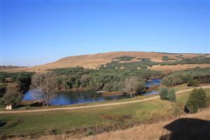 Yellowstone Ranch SA Style - Non Distressed Auction