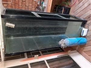 Fish tank with co2 tank and lid