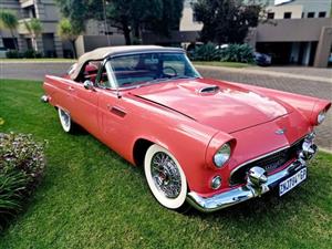 1956 Ford Thunderbird Convertable
