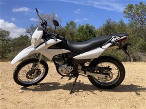 2013 Honda XR 125