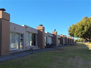 Scale Down or Enjoy Weekends